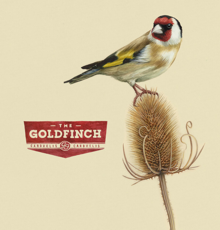 Goldfinch