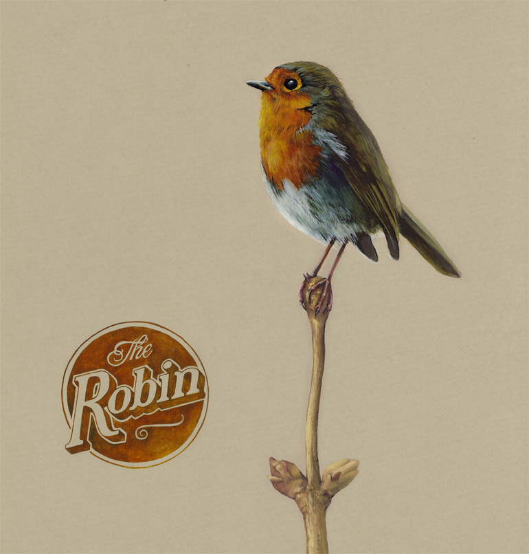 Robin