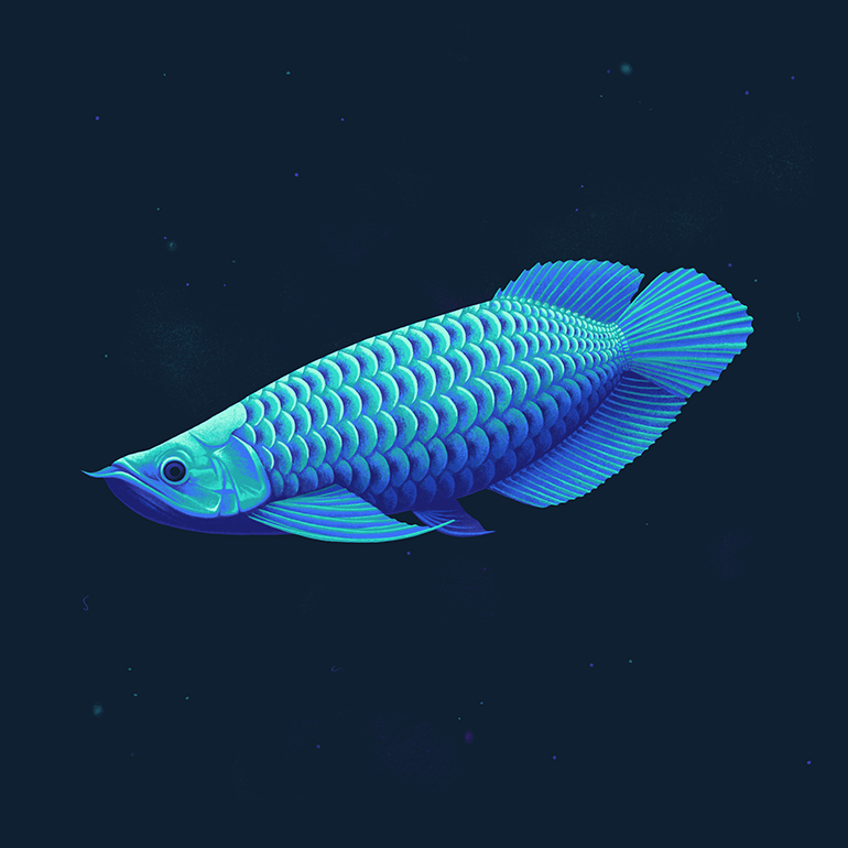 Deep Sea Creatures - Arowana