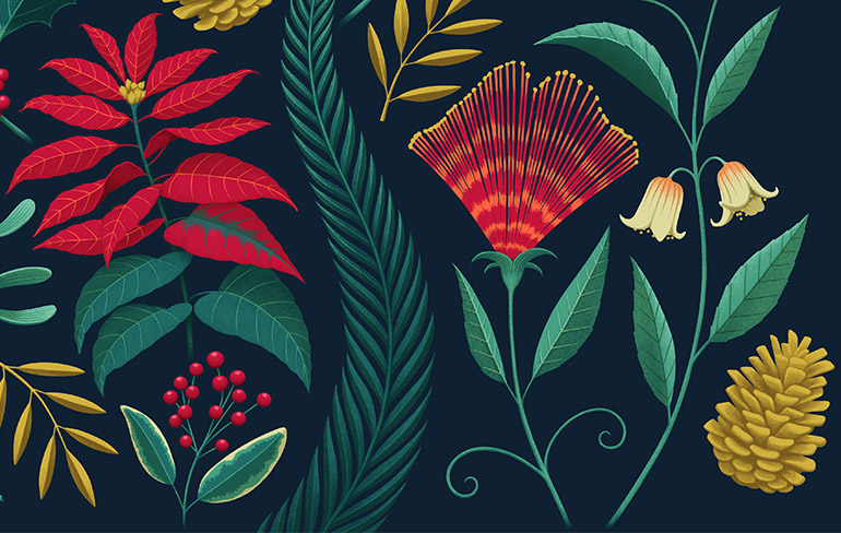 Marks & Spencer Collection Christmas Biscuit Tin illustration detail
